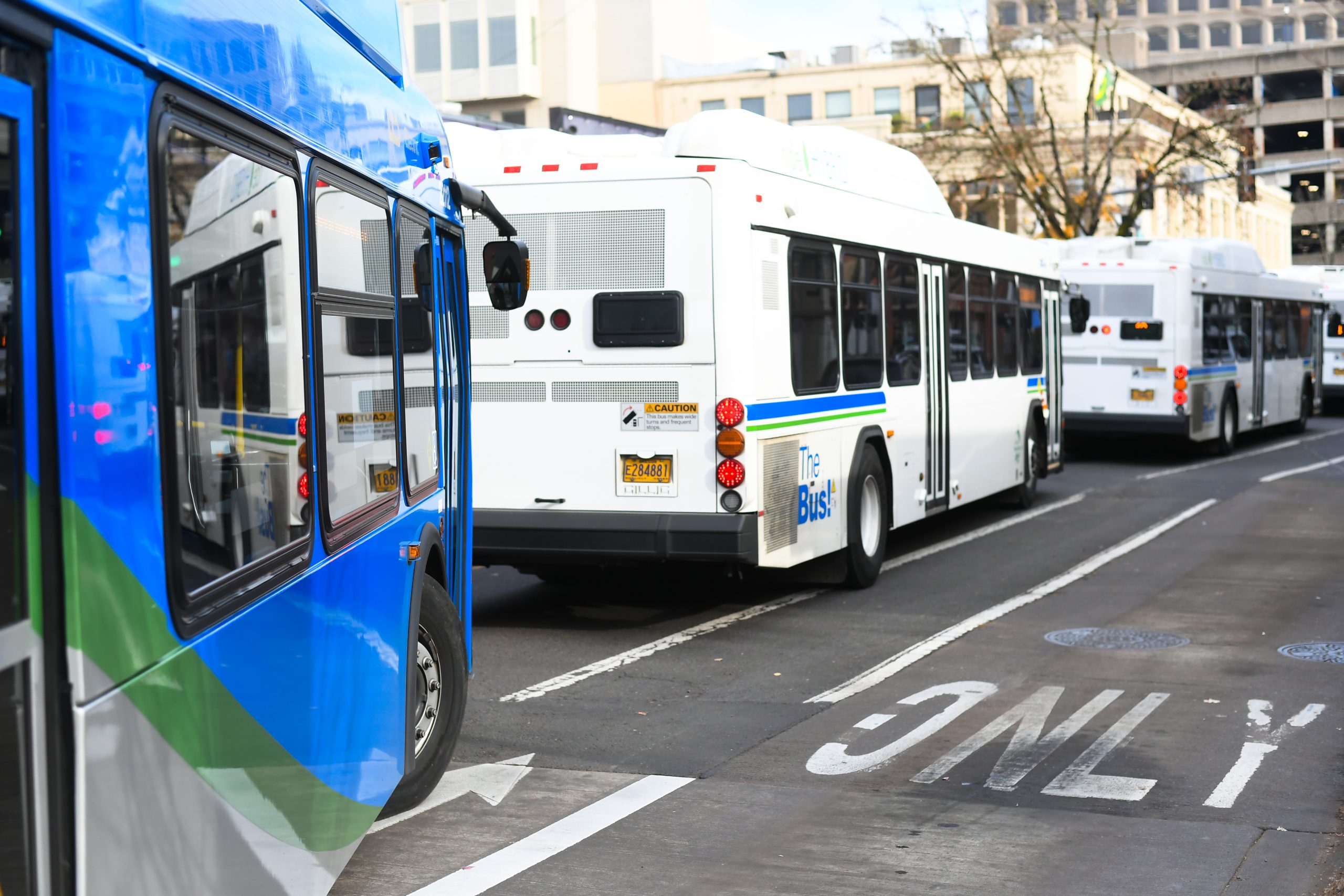 Lane Transit District seeking public input as it plans next two decades