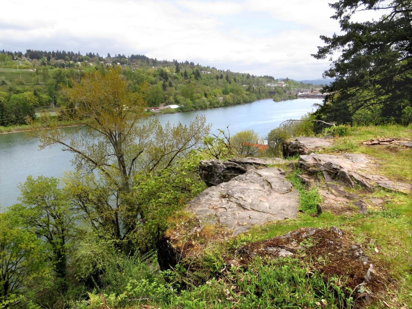 Spring hikes in Oregon City feature blossoms — and lessons in history