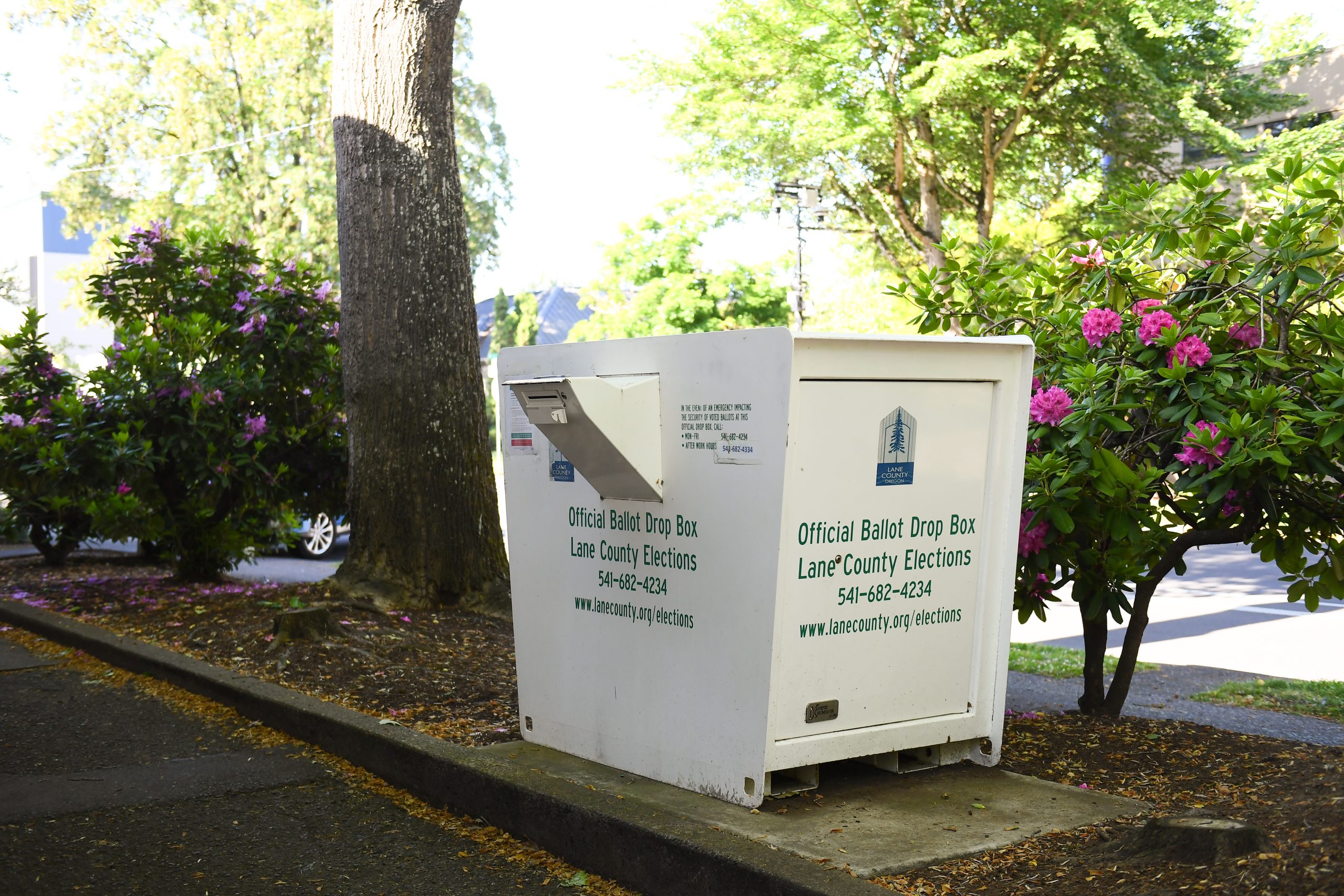 About 25% of active Oregon voters have turned in their ballots so far
