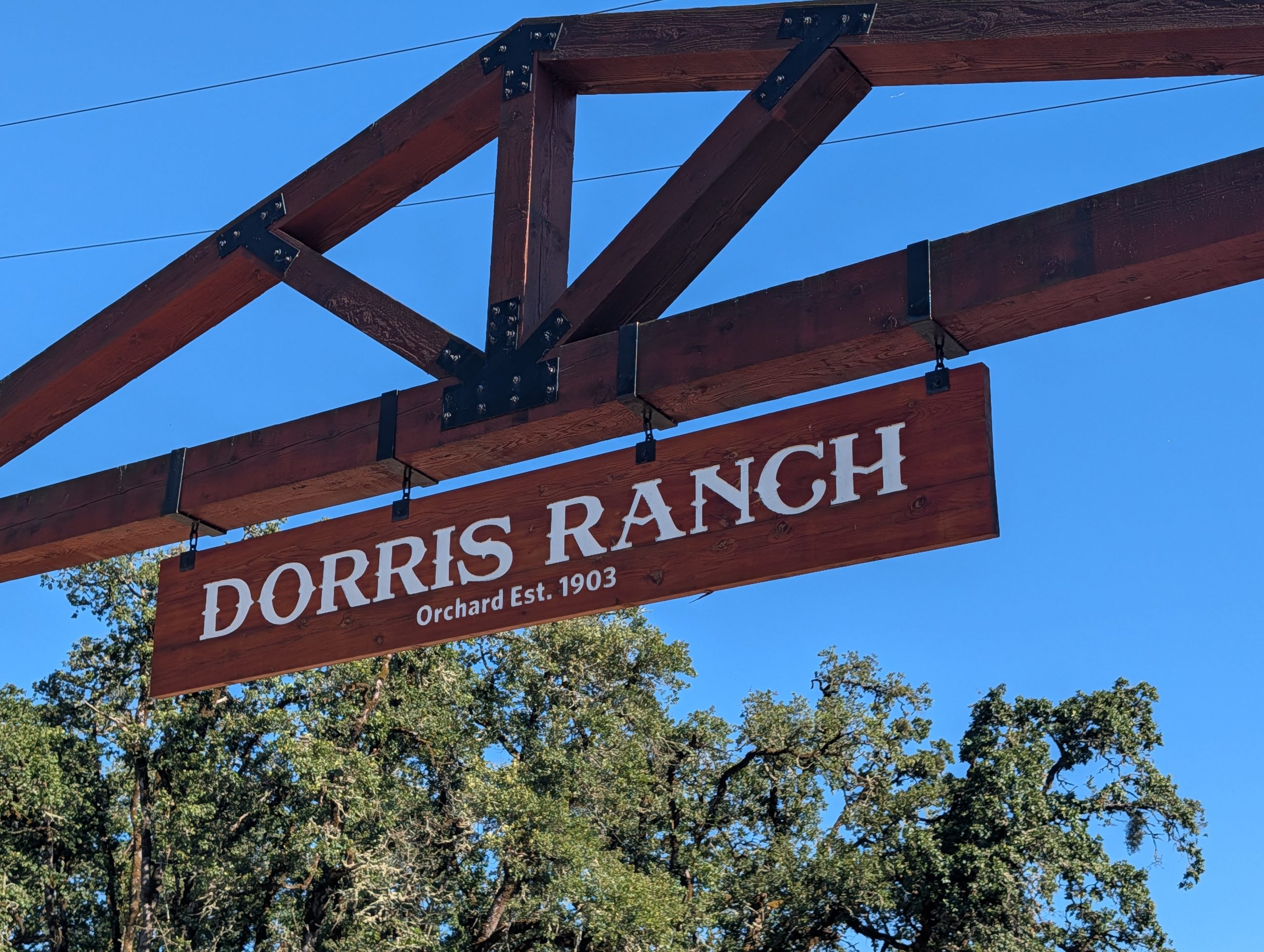 Dorris Ranch New playground Willamalane is planning at Dorris Ranch will highlight ...