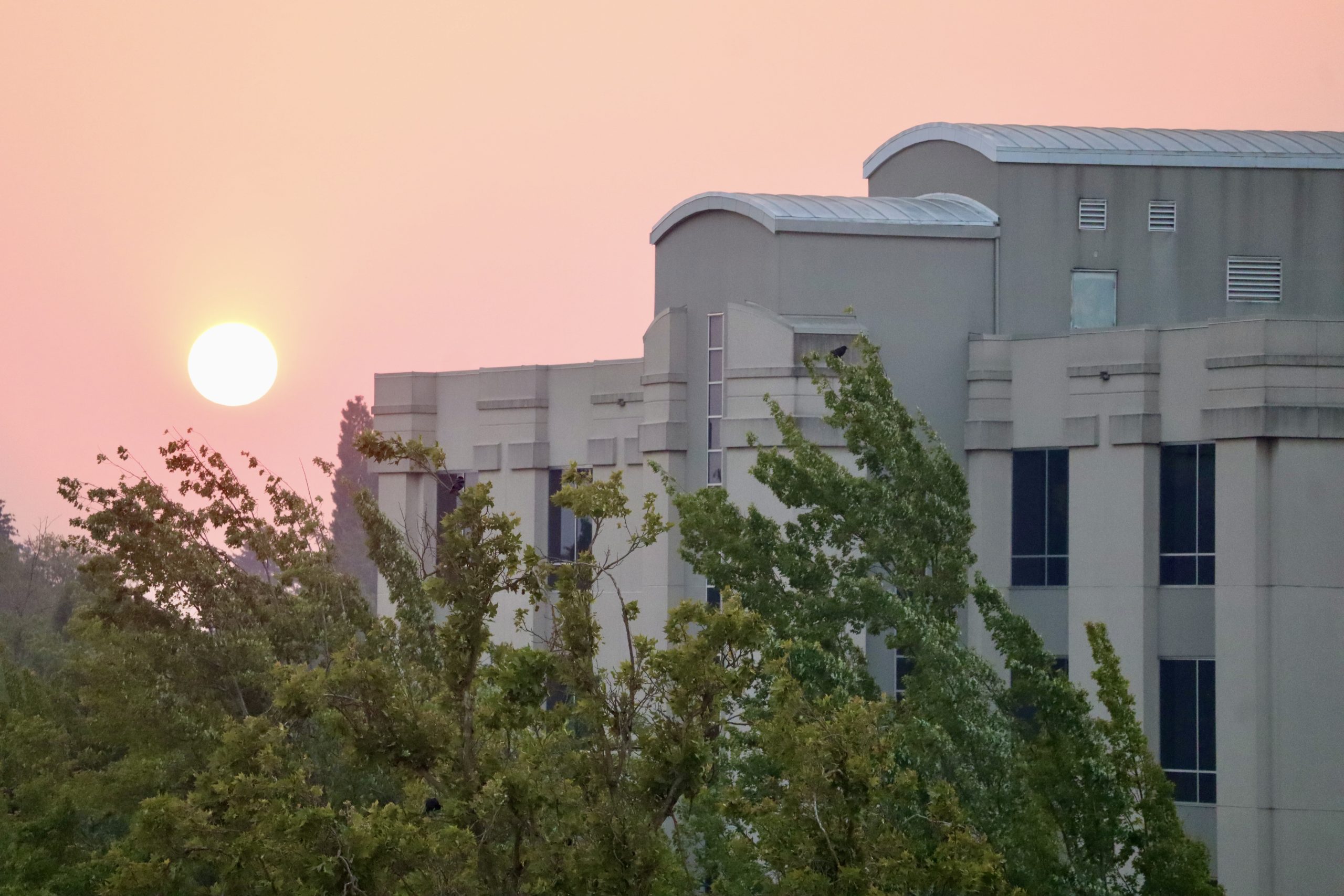 Wildfire smoke traps ‘unhealthy’ air in  Eugene-Springfield