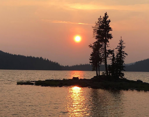 Raging wildfires, Smokey Bear and the lessons we’ve failed to heed